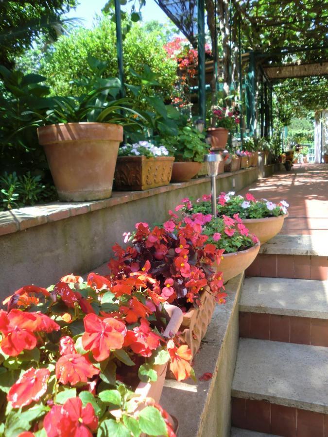 Dei Fiori Bed & Breakfast