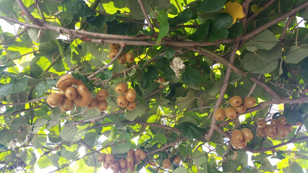 Dei Fiori Alojamento de Acomodação e Pequeno-almoço Capri