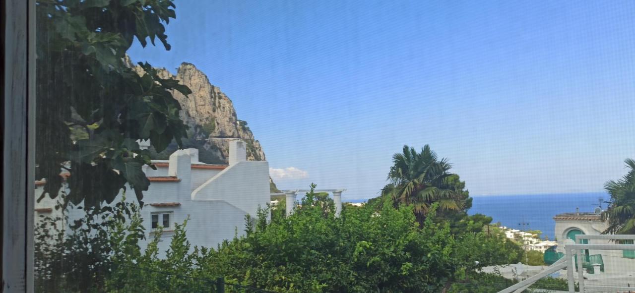 Bed & Breakfast Dei Fiori *