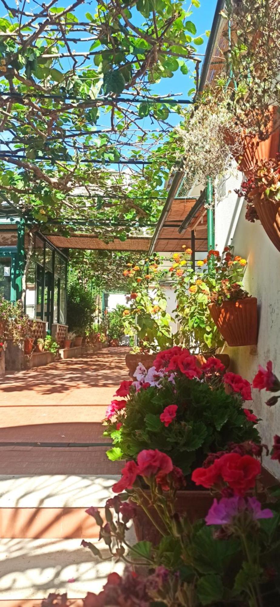 Bed & Breakfast Dei Fiori Capri