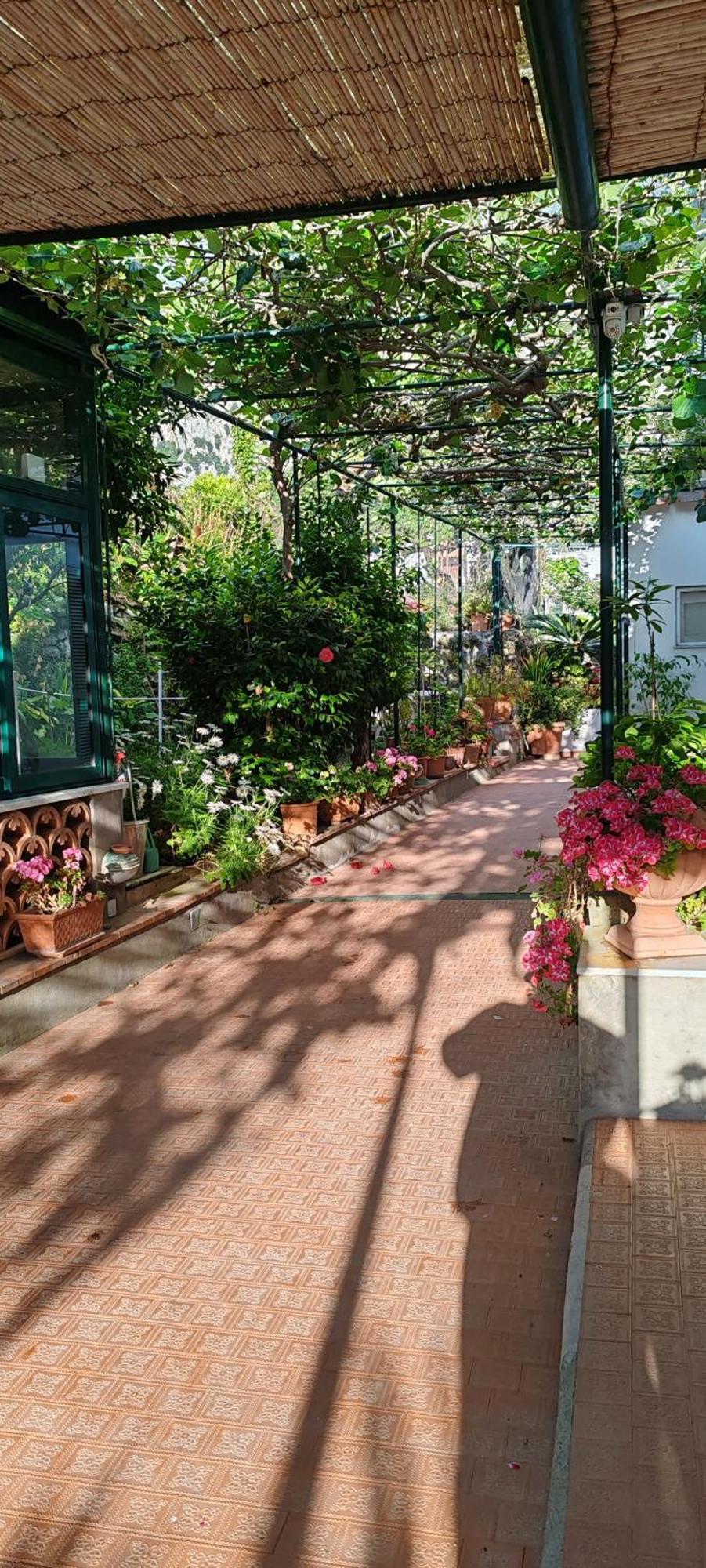 Dei Fiori Capri